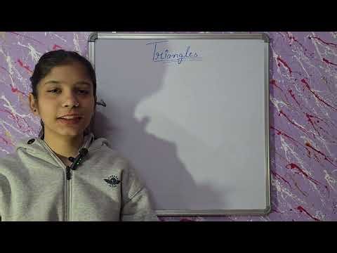 Triangles: Concepts You Must Know | ICSE Class 9