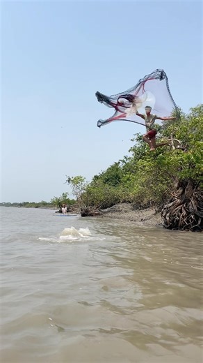 High jump cast net fishing #fishing #handfish #fish #nature