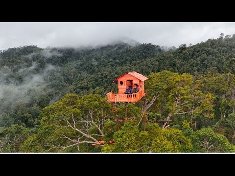 Building a Survival Shelter in a Tree — Living on the Edge of Life and Death | bushcraft skill
