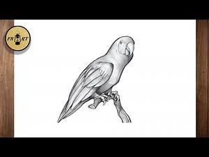 How to draw a parrot on a branch realistic