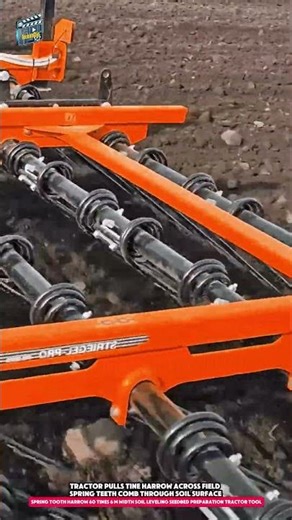 Spring Tooth Harrow 60 Tines 6 m Width Soil Leveling Seedbed Preparation Tractor Tool