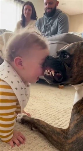 Baby’s Loud Comeback to Dog 😤👶🐶 #baby #dog #funny #funnyvideo