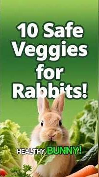 10 Safe Vegetables for Rabbits 🥕🐇 | Bunny Health Tips