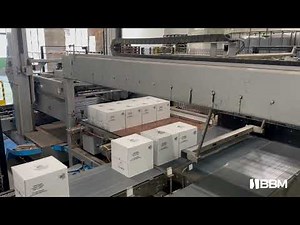 KOSME Palpack PD Palletizer - Up to 14,400 bph, Wrap-Tray-Film Packaging