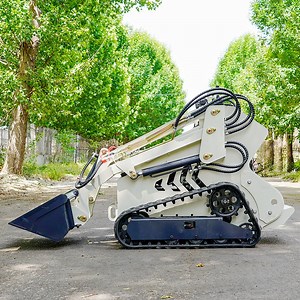 [Hot Item] Cheap Skid Steer Loader EPA/Euro 5 Diesel Mini Skid Steer Loaders Crawler Wheel Used Loaders Mini