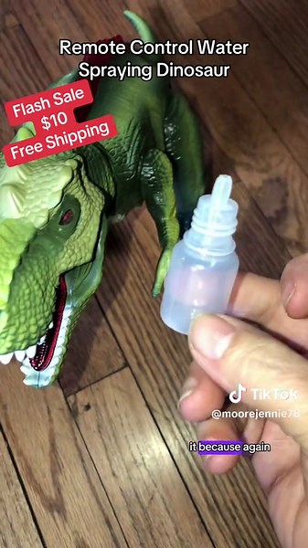 Remote Control Water Spraying Dinosaur Toy Review