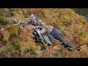 Approche au cerf dans les pyrenees 2016