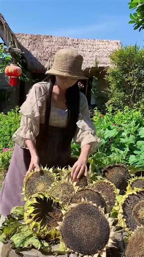 Enjoy beautiful nature with rural life 413 # MP Fresh #fruit #countrylife #farming #garden