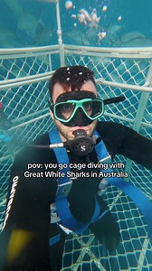 Shark Cage Diving at Neptune Islands, Port Lincoln