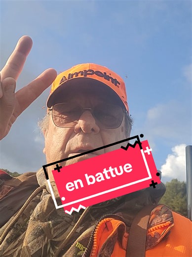 Chasse au Sanglier et Discussion en Battue