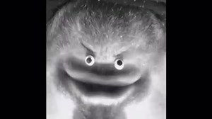 80K views · 2.4K reactions | Get Scared on Reels | Facebook