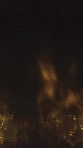 Abraham Benrubi on TikTok