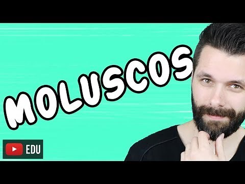 MOLUSCOS - REINO ANIMALIA - ZOOLOGIA - Aula | Biologia com Samuel Cunha