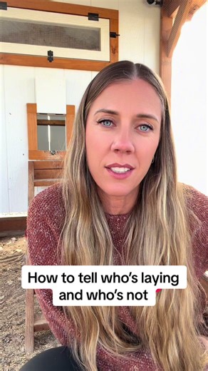 Identifying Laying Chickens in Your Coop