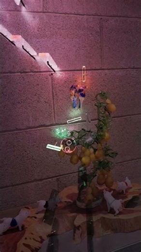 櫥窗裡的水晶世界，突然開始跳動了 ✨