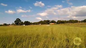 Chawa racing his 500HP Skyline aka whitesnake around Donnybrook racetrack in Harare | Chawa's Wild Adventures