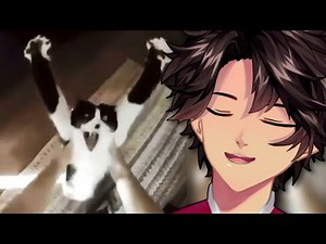 FranDaMan1 Reacts to Memes that are actually funny!