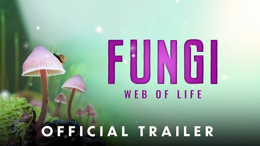 Fungi: Web of Life - Official Theatrical Trailer [1080] (Narrated by Björk, Presented by Merlin Sheldrake)