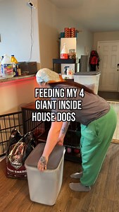 Homemade Dog Food for 4 Large Indoor Dogs: Easy Feeding Routine