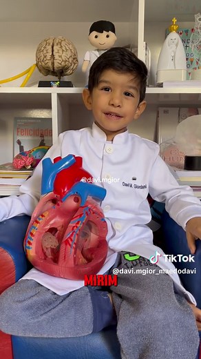 Aneurisma da Aorta: Doença Grave e Silenciosa Explicada por um Cardiologista Mirim