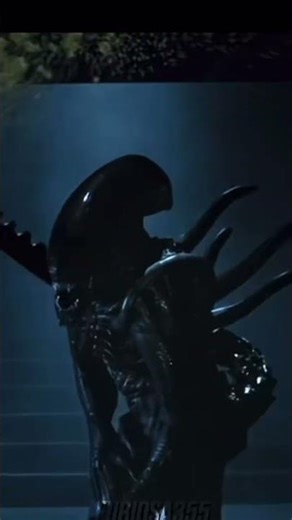 Alíen xenomorph edit