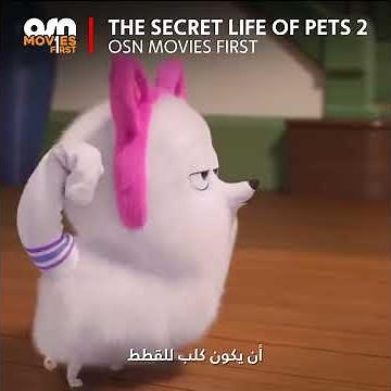 The Secret Life Of Pets 2