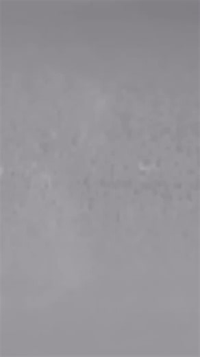 Bruce Springsteen Fan 🎸 on Instagram: "Jungleland - Passaic 1978 #brucespringsteen #springsteen #estreetband #passaic #newjersey #1978"