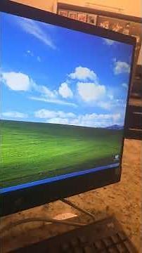 Windows XP simulator