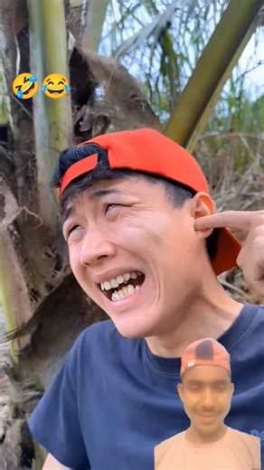 #campfire #campping #funny