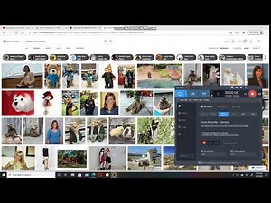 https://txqly.321330.xyz/images/search?q=ashley+bear+yucaipa&form=HDRSC2&first=1&tsc=ImageBasicHover
