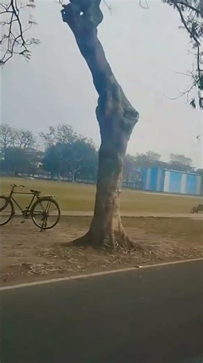 yah Raste Pyar Ke #movie #bollywood #song #