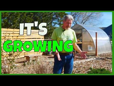 Garden Tour & Garden Prep (In the Garden 3-26)