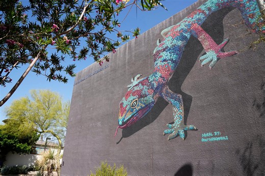 What is the best museum in Arizona? Vote now on top spots for art, more