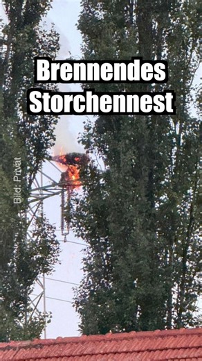 🔥 Brennendes Storchennest 🚒 #feuerwehr #feuerwehrleben #storch #strom #nest #offenburg | feuerwehrleben