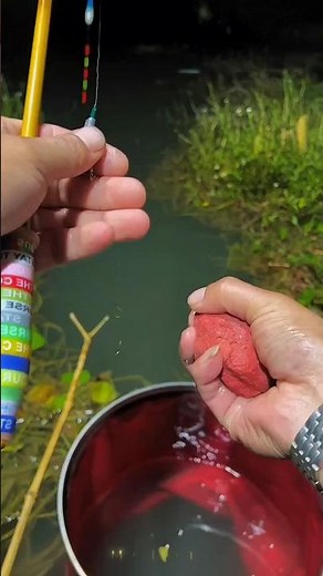🧠 Clever DIY Trick to Catch Tons of Fish Instantly || #fish #fishtrap