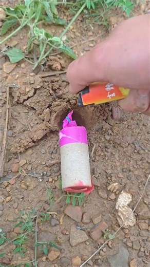 Crackers Around the World - Taste Test!" #crakers #entertainment #experiment #100