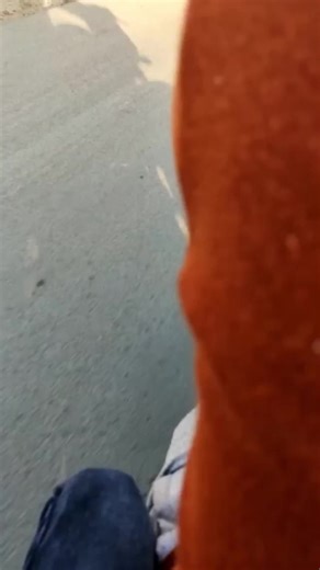 funny horse video