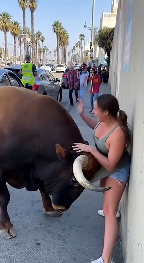 An angry bull pins the woman against the wall with its horns, and the woman desperately tries to escape. | Artificial Creation