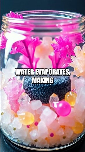 The Magic of Homemade Crystal Garden Experiment