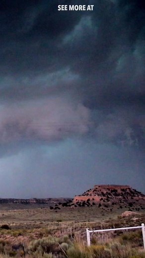 Capturing the Power of Instant Thunder: Exploring Lightning Phenomena