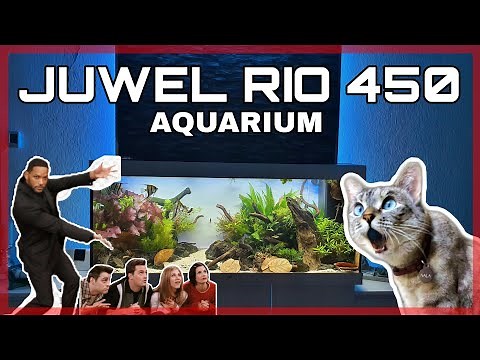 Juwel rio 450 Aquarium, Die Pflege Erklärt!