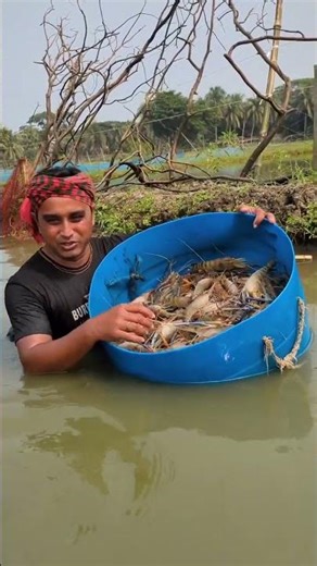 Lobster farming management.