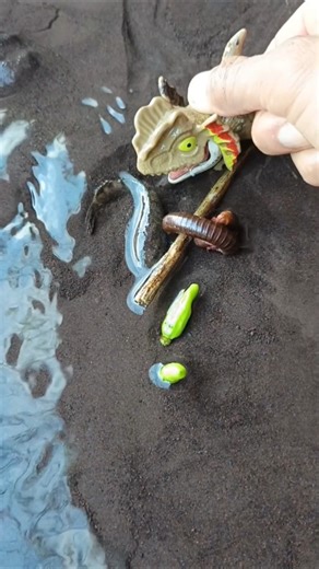 snakehead fish,snakehead fishing in florida..- SNAKEHEAD FISH #shorts #fish #channa #viralvideo