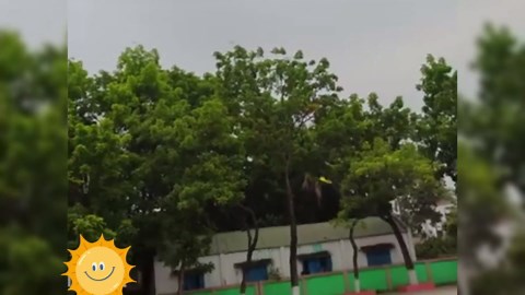 Gravity Glider Remote Control Airplane, 2026 New 2.4GHz Remote Control Airplane Jet Fighter Stunt RC Airplane with Light, Outdoor RC Glider Aircraft Planes for Kids Adults Beginners (Blue)