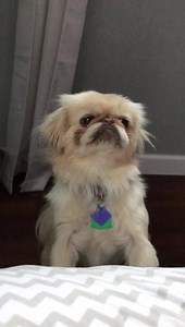 2.5K views · 479 reactions | Whyyyyyyy?!?? Why do I have to do this...