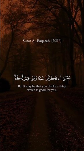 Surah Al-Baqarah (216 Verse) - Mishary Rashid Alafasy #shorts #viral