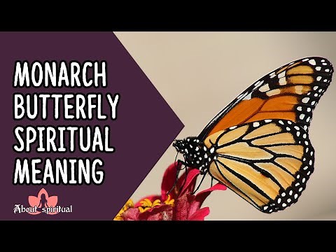 Monarch Butterfly Spiritual Meaning