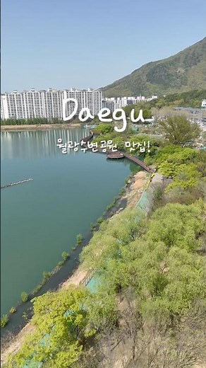 대구 월광수변공원 맛집🙌 #도원돌판오리 #달서구오리고기맛집 #상인동맛집 #도원동맛집