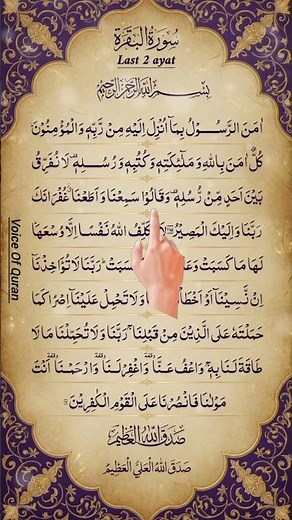The Last 2 Ayats of Surah Al-Baqarah ✨ سورة البقرة #quran #shorts