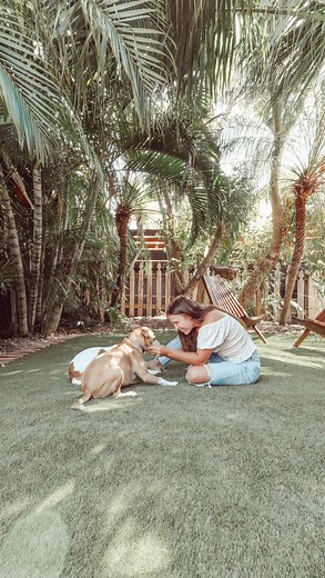 Kourtni Muñoz | DIY + Design on Instagram: "DIY Lifeproof with Petproof Technology Artificial Turf Install! Here’s how to save thousands on your own turf project by doing a DIY install. We got quotes ranging anywhere from $18.75 - $20/SF and we DIY’d our own turf install for $8.94/SF instead! This heaping pile of stinky rocks is not a great place for our dogs and kids to enjoy. Living in Key West we are always walking around without shoes on and these rocks were not it! Our property is basically